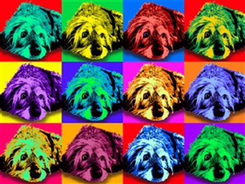 Pop Art 12 Panels from Photos