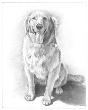 Hand Drawn Pencil Portraits from Photos | Pencil Portrait Drawing | Pencil Sketch Artists
