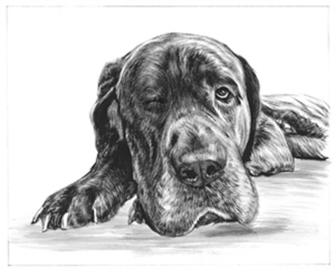 Hand Painted Ink Rendering Portraits from Photos