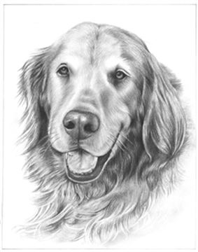 Hand Drawn Pencil Portraits from Photos | Pencil Portrait Drawing | Pencil Sketch Artists