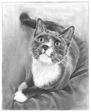 Hand Drawn Pencil Portraits from Photos | Pencil Portrait Drawing | Pencil Sketch Artists