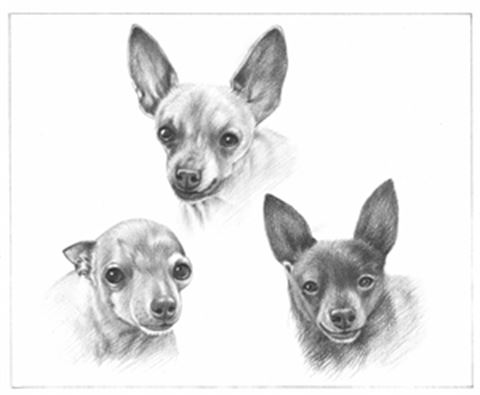 Hand Drawn Pencil Portraits from Photos | Pencil Portrait Drawing | Pencil Sketch Artists