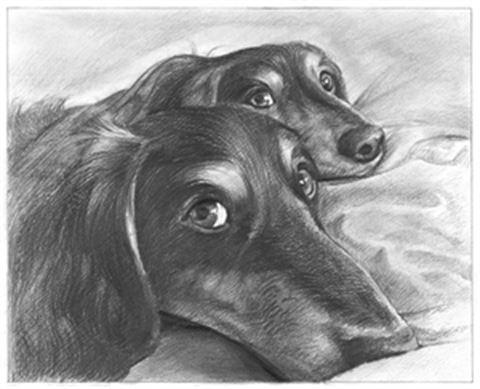 Hand Drawn Pencil Portraits from Photos | Pencil Portrait Drawing | Pencil Sketch Artists