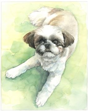 Hand-Painted Watercolor Portraits from Photos | Custom Watercolor Painting from Photo