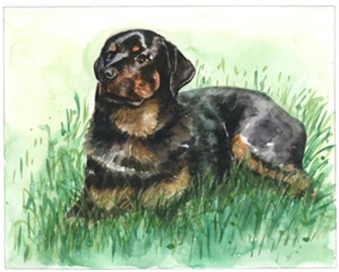 Hand-Painted Watercolor Portraits from Photos | Custom Watercolor Painting from Photo