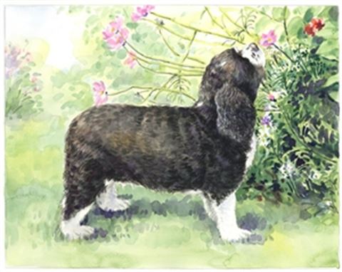 Hand-Painted Watercolor Portraits from Photos | Custom Watercolor Painting from Photo