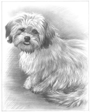 Hand Drawn Pencil Portraits from Photos | Pencil Portrait Drawing | Pencil Sketch Artists
