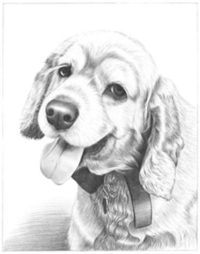 Hand Drawn Pencil Portraits from Photos | Pencil Portrait Drawing | Pencil Sketch Artists