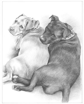 Hand Drawn Pencil Portraits from Photos | Pencil Portrait Drawing | Pencil Sketch Artists