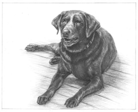 Hand Drawn Pencil Portraits from Photos | Pencil Portrait Drawing | Pencil Sketch Artists