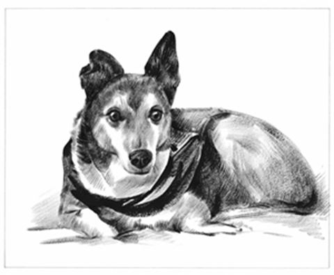 Hand Painted Ink Rendering Portraits from Photos