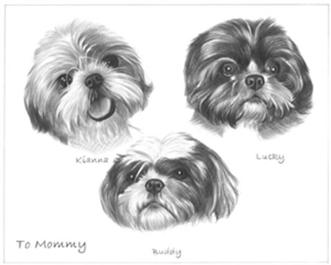 Hand Drawn Pencil Portraits from Photos | Pencil Portrait Drawing | Pencil Sketch Artists