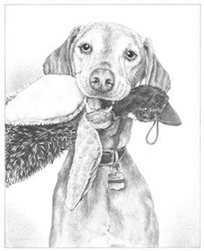 Hand Drawn Pencil Portraits from Photos | Pencil Portrait Drawing | Pencil Sketch Artists