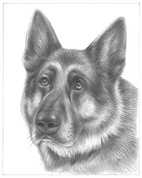 Hand Drawn Pencil Portraits from Photos | Pencil Portrait Drawing | Pencil Sketch Artists