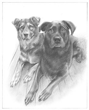 Hand Drawn Pencil Portraits from Photos | Pencil Portrait Drawing | Pencil Sketch Artists