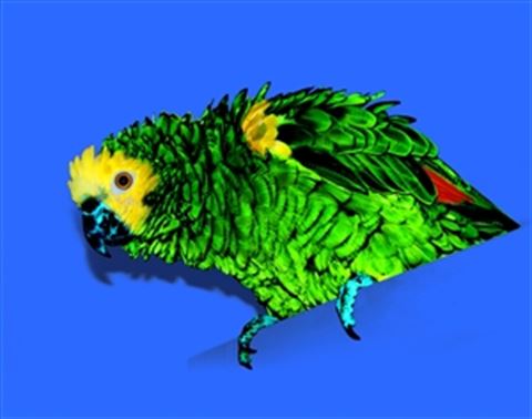 1 Panel Pop Art Portraits from Photos