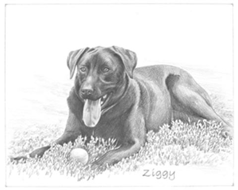 Hand Drawn Pencil Portraits from Photos | Pencil Portrait Drawing | Pencil Sketch Artists