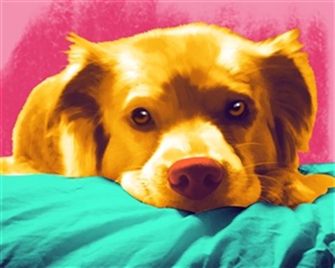 1 Panel Pop Art Portraits from Photos