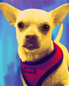 1 Panel Pop Art Portraits from Photos
