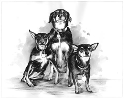 Hand Painted Ink Rendering Portraits from Photos
