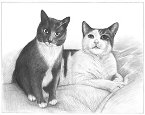 Hand Drawn Pencil Portraits from Photos | Pencil Portrait Drawing | Pencil Sketch Artists