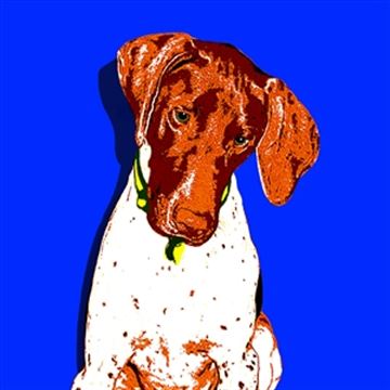 1 Panel Pop Art Portraits from Photos