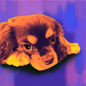 1 Panel Pop Art Portraits from Photos