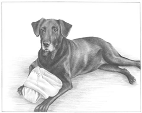 Hand Drawn Pencil Portraits from Photos | Pencil Portrait Drawing | Pencil Sketch Artists