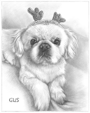 Hand Drawn Pencil Portraits from Photos | Pencil Portrait Drawing | Pencil Sketch Artists