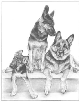 Hand Drawn Pencil Portraits from Photos | Pencil Portrait Drawing | Pencil Sketch Artists