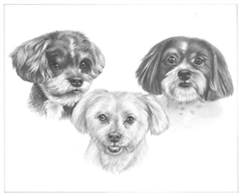 Hand Drawn Pencil Portraits from Photos | Pencil Portrait Drawing | Pencil Sketch Artists