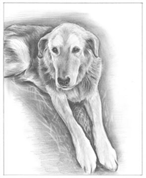 Hand Drawn Pencil Portraits from Photos | Pencil Portrait Drawing | Pencil Sketch Artists