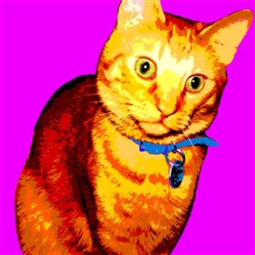 1 Panel Pop Art Portraits from Photos