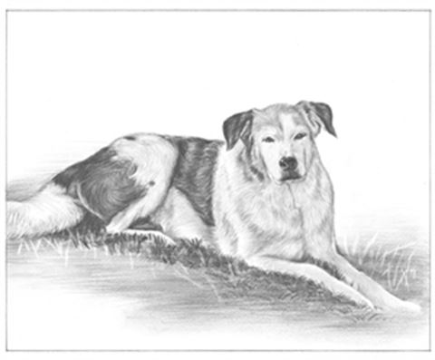 Hand Drawn Pencil Portraits from Photos | Pencil Portrait Drawing | Pencil Sketch Artists