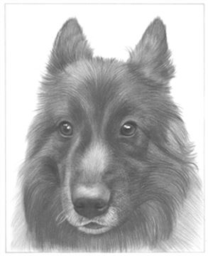 Hand Drawn Pencil Portraits from Photos | Pencil Portrait Drawing | Pencil Sketch Artists