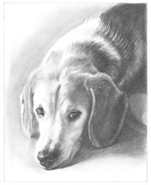 Hand Drawn Pencil Portraits from Photos | Pencil Portrait Drawing | Pencil Sketch Artists