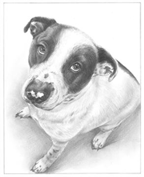 Hand Drawn Pencil Portraits from Photos | Pencil Portrait Drawing | Pencil Sketch Artists