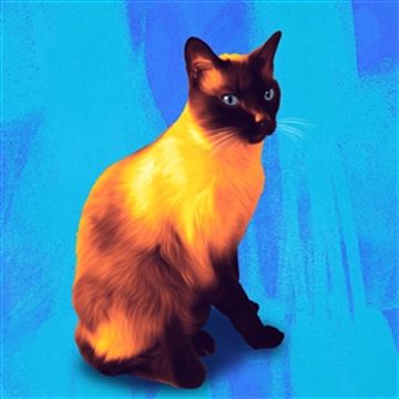 1 Panel Pop Art Portraits from Photos