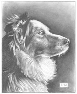 Hand Drawn Pencil Portraits from Photos | Pencil Portrait Drawing | Pencil Sketch Artists