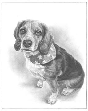 Hand Drawn Pencil Portraits from Photos | Pencil Portrait Drawing | Pencil Sketch Artists