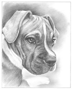 Hand Drawn Pencil Portraits from Photos | Pencil Portrait Drawing | Pencil Sketch Artists