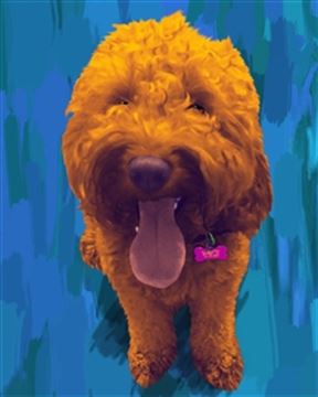 1 Panel Pop Art Portraits from Photos