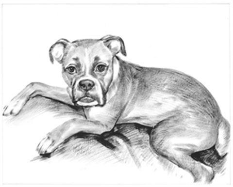 Hand Painted Ink Rendering Portraits from Photos