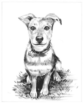 Hand Painted Ink Rendering Portraits from Photos