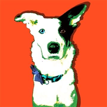 1 Panel Pop Art Portraits from Photos