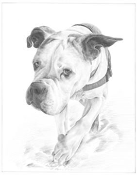 Hand Drawn Pencil Portraits from Photos | Pencil Portrait Drawing | Pencil Sketch Artists