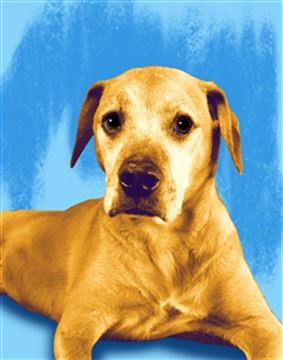 1 Panel Pop Art Portraits from Photos