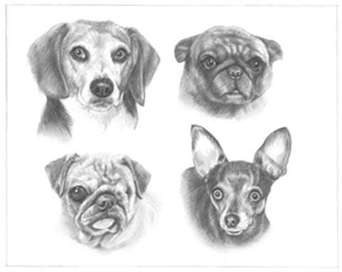 Hand Drawn Pencil Portraits from Photos | Pencil Portrait Drawing | Pencil Sketch Artists