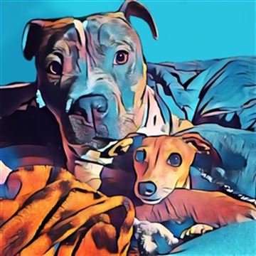 Print Photos On Canvas, Premium Photo Paper, or Fine Art Paper