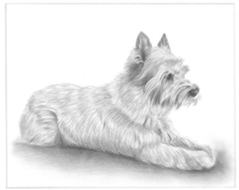 Hand Drawn Pencil Portraits from Photos | Pencil Portrait Drawing | Pencil Sketch Artists